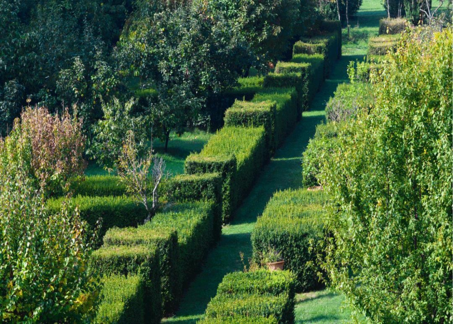 Clipped box hedges in the Italian gardens of Villa Fracanzan Piovene near Verona