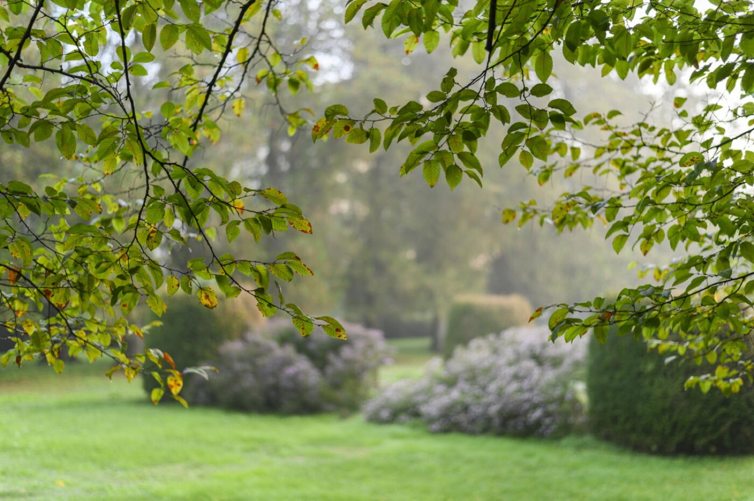 A path through the garden of Villa Fracanzan Piovene near Verona, framed by green leaves