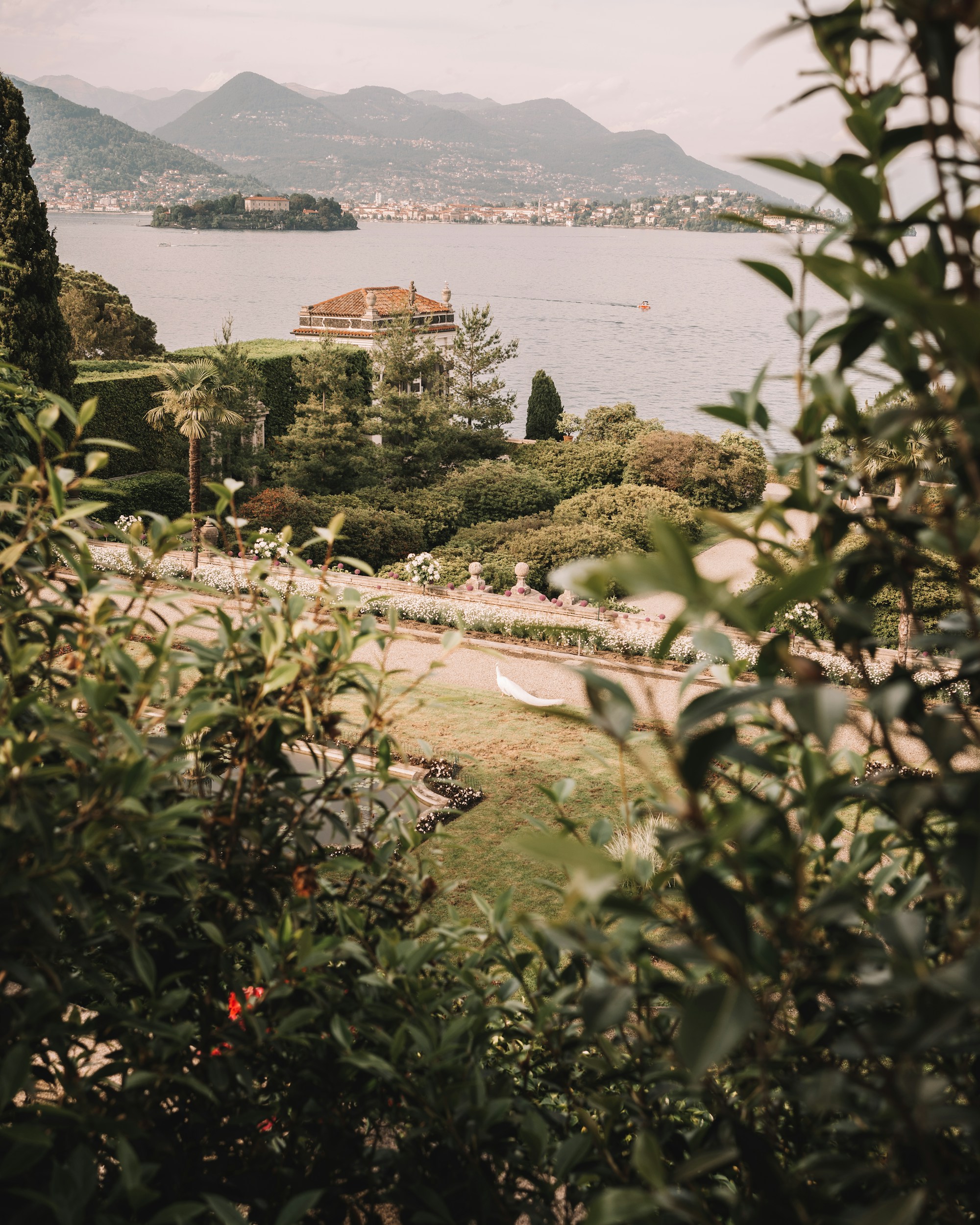 A garden terrace with flowers and a view over Lake Maggiore, Italy